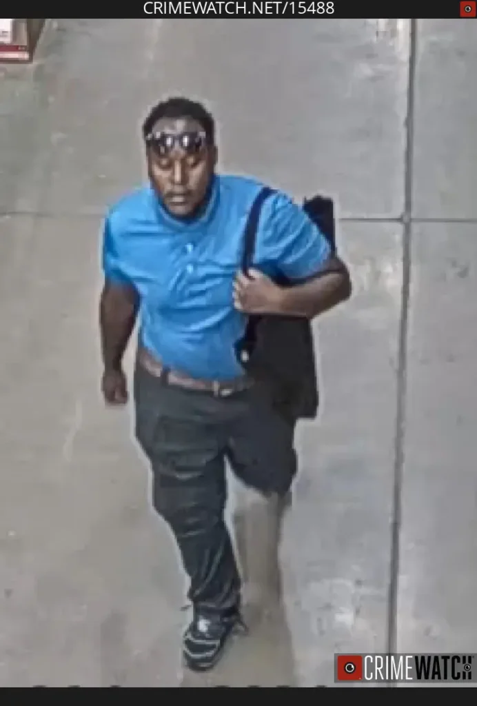 Can You Identify The Battery Bandit