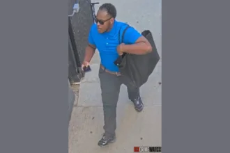 Can You Identify The Battery Bandit