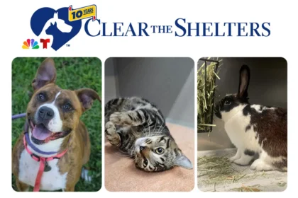 National Clear The Shelters Day