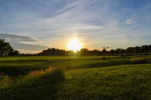 Family Fun in Bensalem: Parks & Activities Benjamin Rush State Park