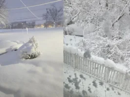 Bensalem Gets Slammed With 14 Inches During Winter Storm